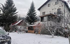 Zoso Home