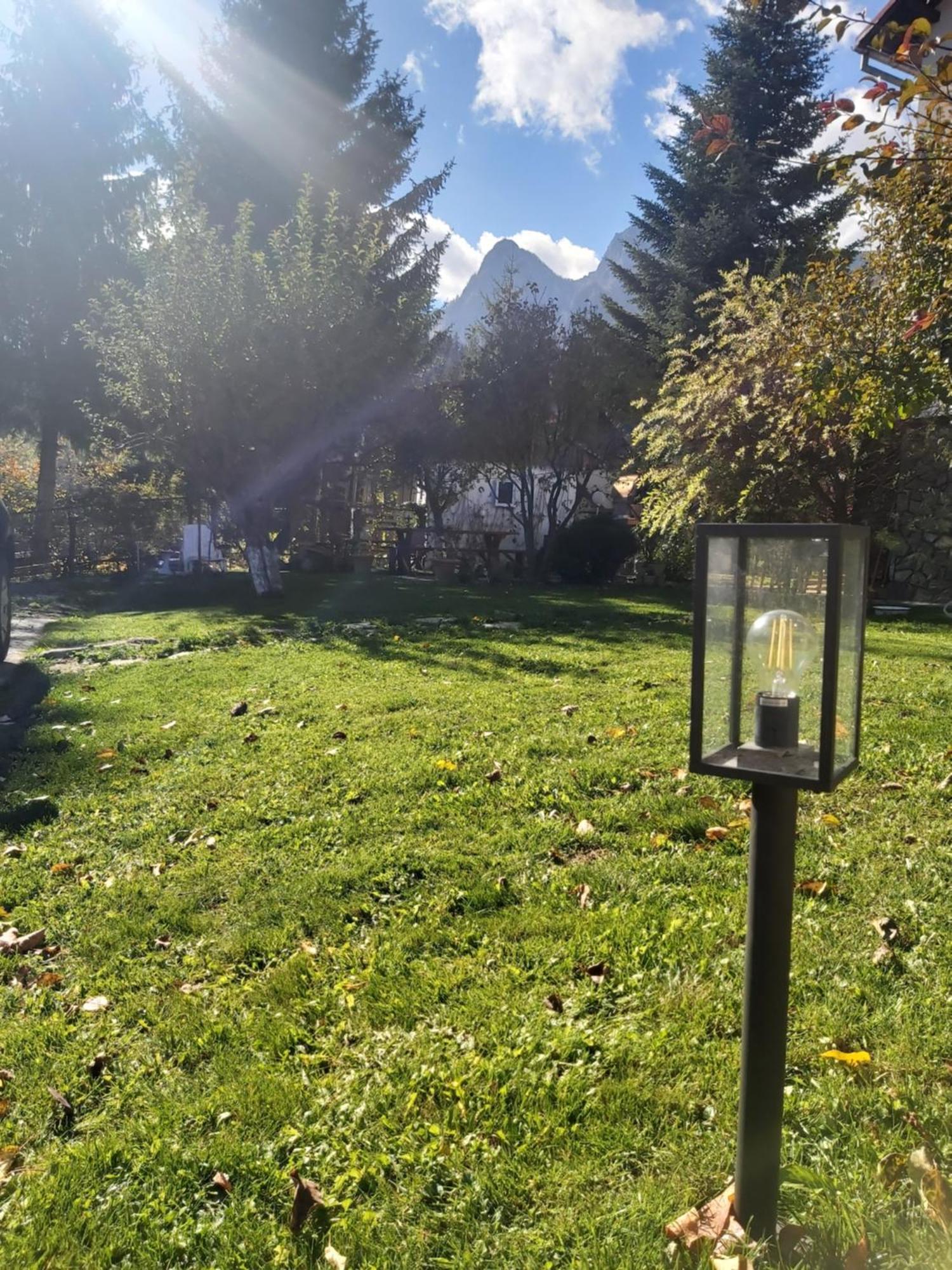 Zoso Home Buşteni Exterior foto