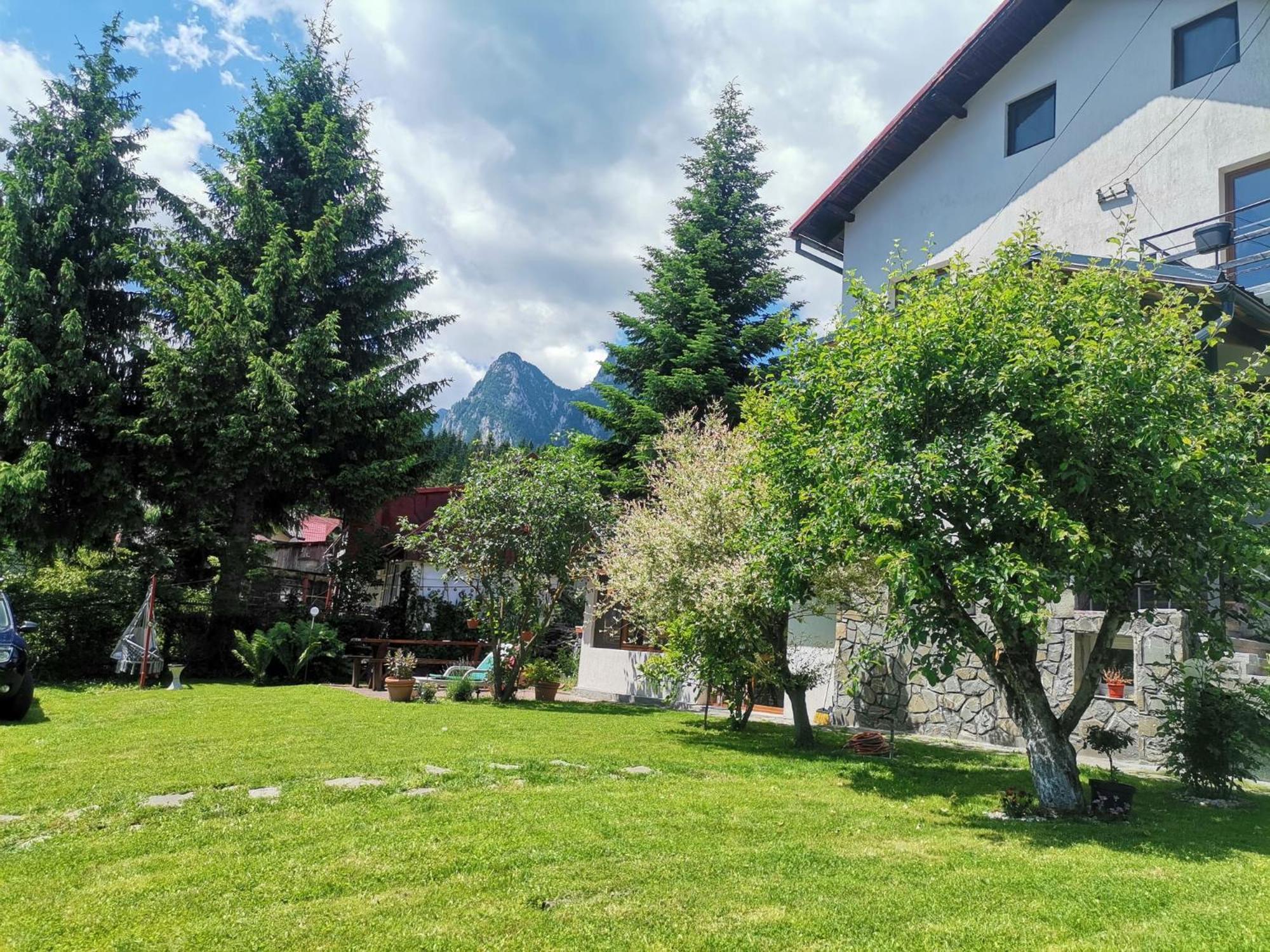 Zoso Home Buşteni Exterior foto